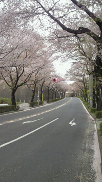 201204161413000.jpg